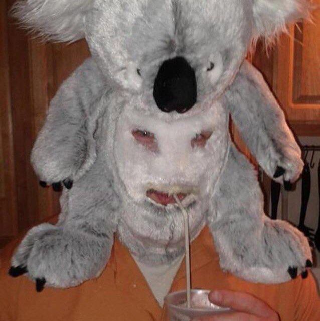 koala face mask