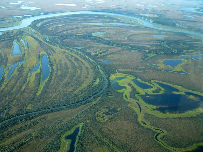 Kobuk Valley from the air