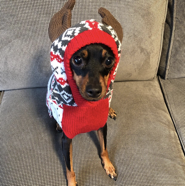 KYEESE Christmas Dog Sweater