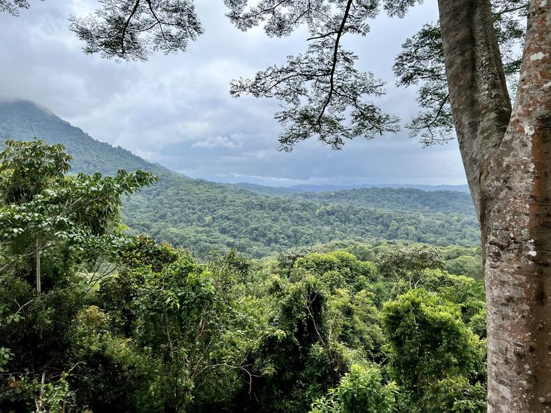 La Cangreja National Park in Costa Rica