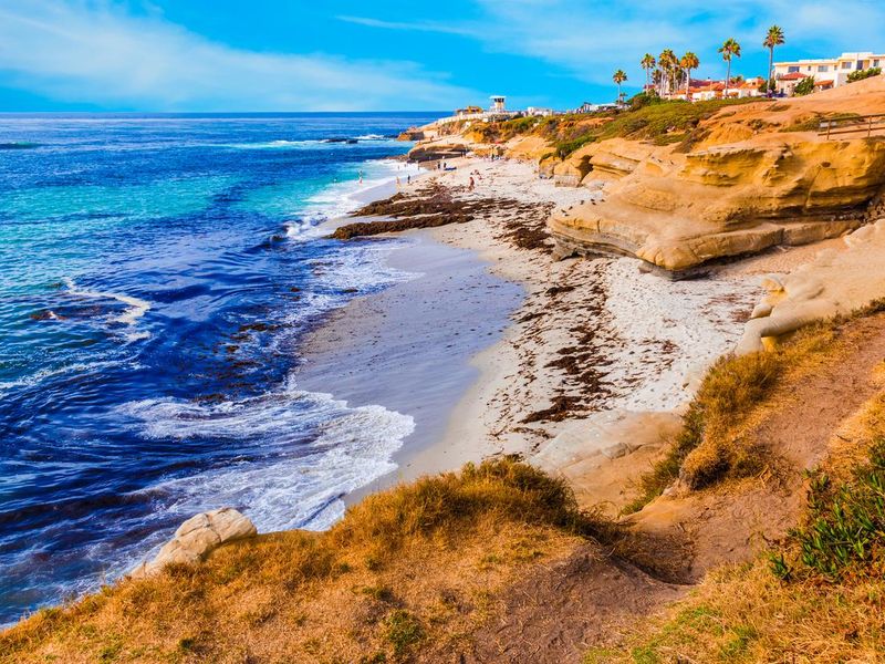 La Jolla coastline in Southern California,San Diego (P)