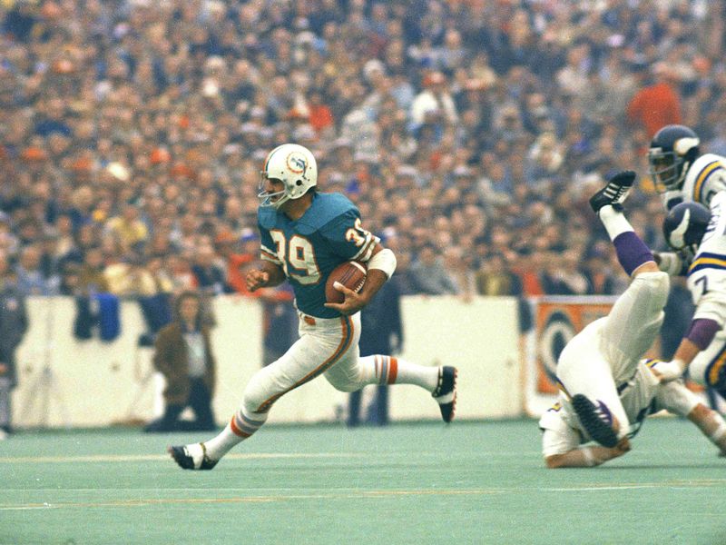 Larry Csonka in Super Bowl VIII
