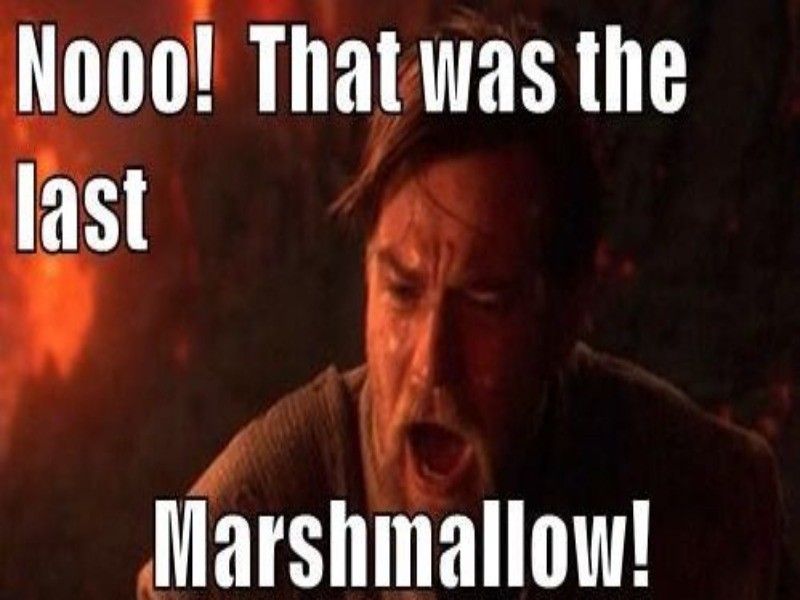 Last marshmallow meme