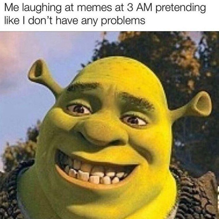Laughing at memes