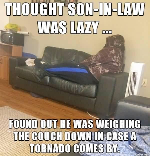 lazy son in law
