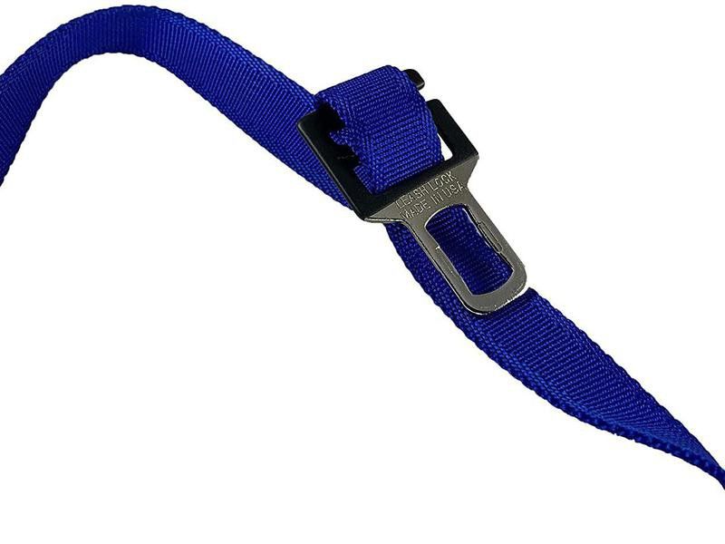 Leash lock for car dog harness