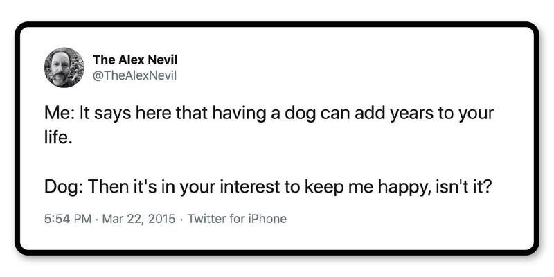 Lifehack: Get lots of dogs, and you can live forever.