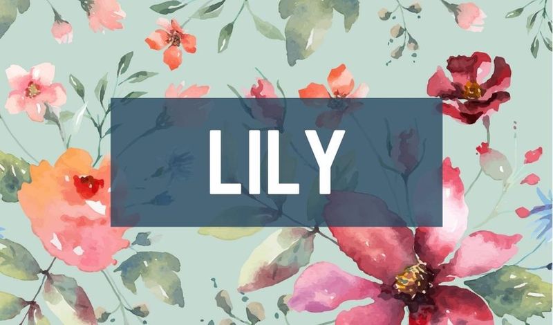 Lily, a strong flower name