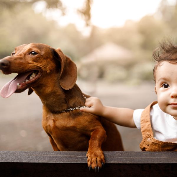 Little boy with his dog.