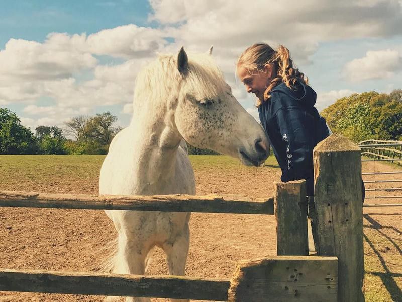 Little girl and her Connemara pony