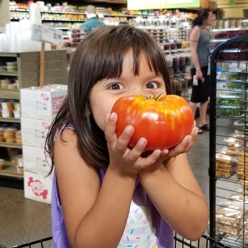Little girl holding a large tomato
