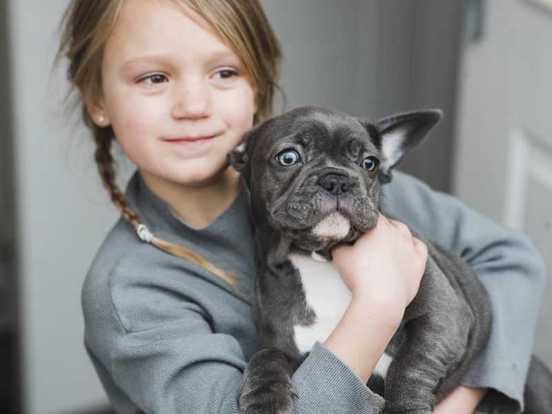 little girl holding her little puppy