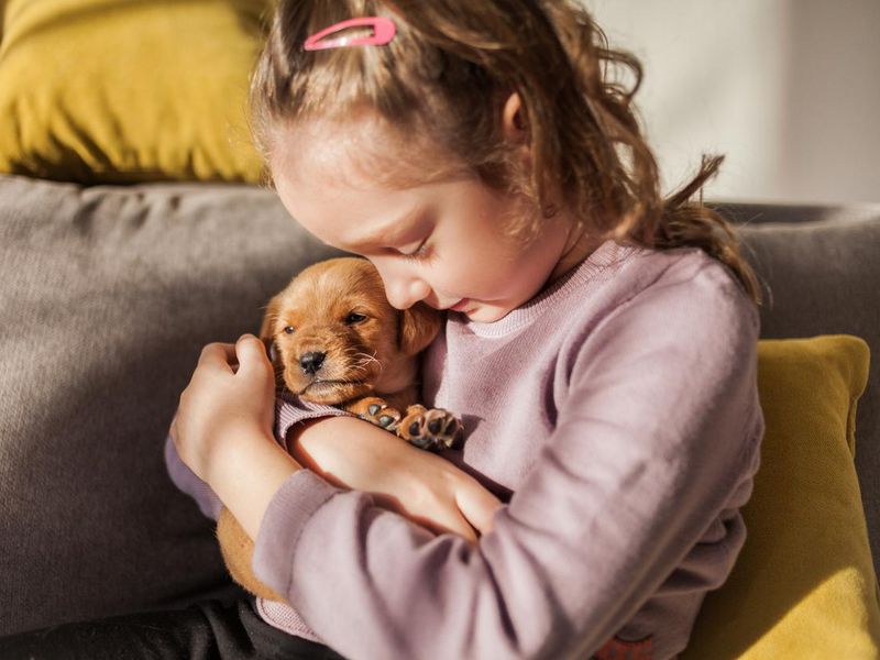 Little girl with her puppy at home