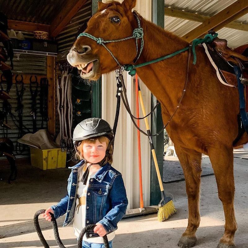 Little Girl with Smiling Horse
