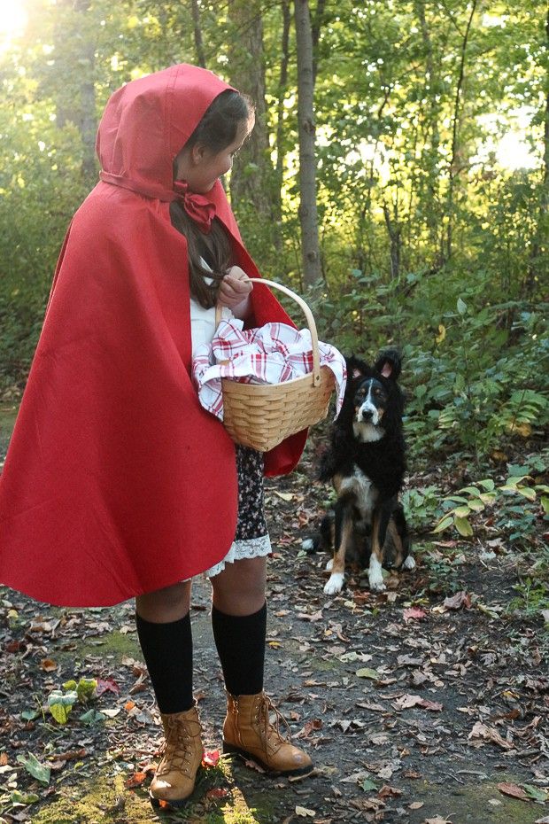 Little Red Riding Hood and the Wolf dog and human costume idea