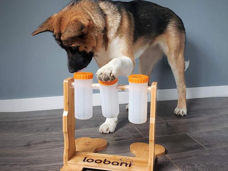 Loobani Dogs Food Puzzle Feeder Toys for IQ