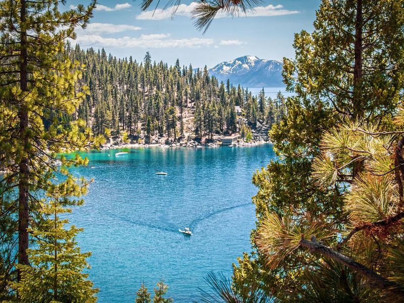 looking down through heavy forest onto Lake Tahoe USA and mountains in distance and boat creating wake in water down below.