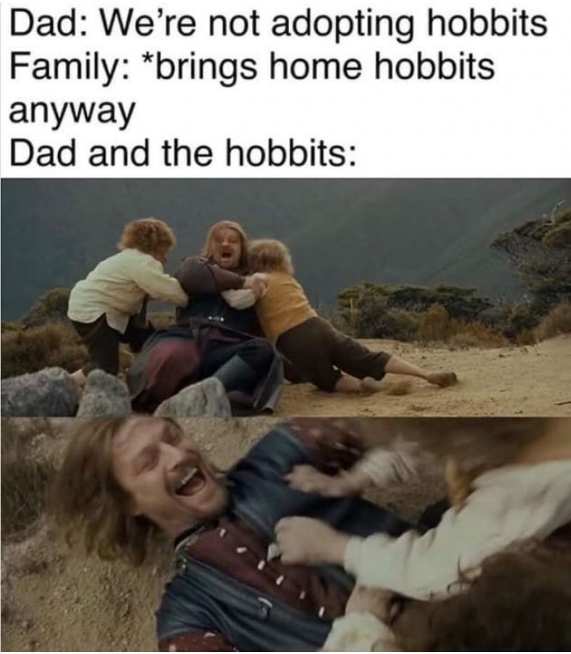 Lord of the Rings meme