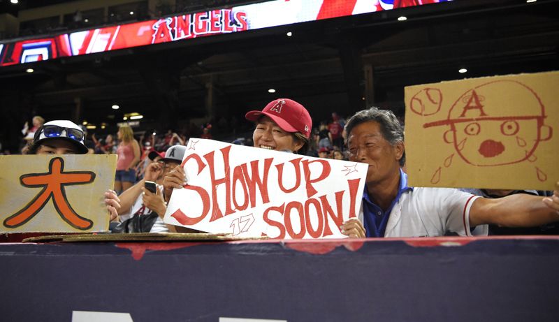 Los Angeles Angels fans