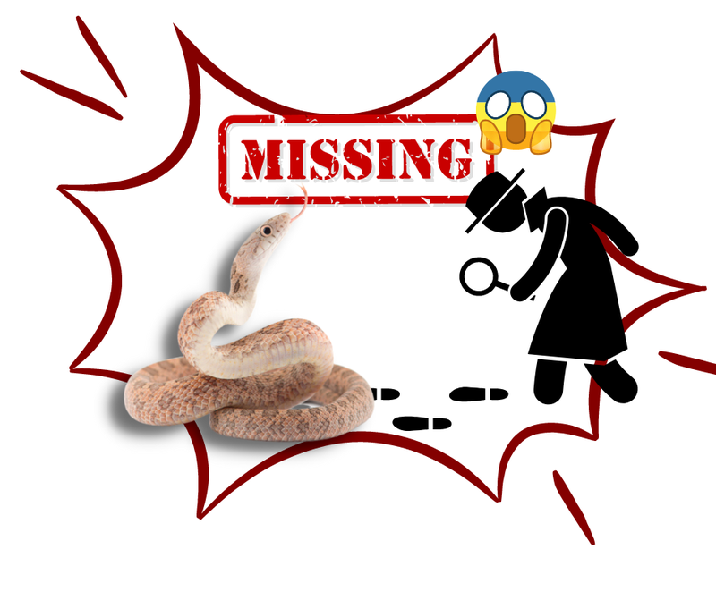 Lost pet snake sign