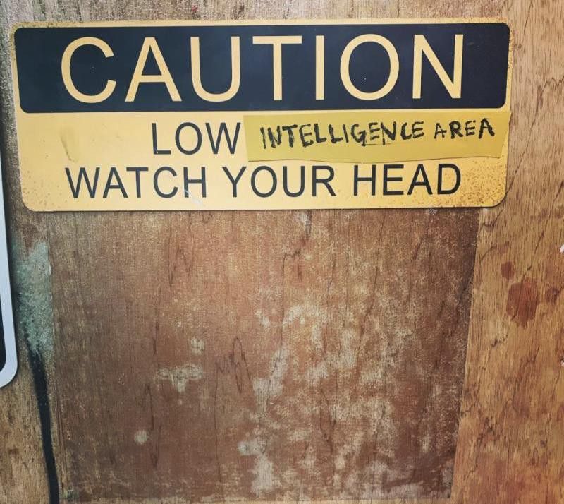 Low intelligence