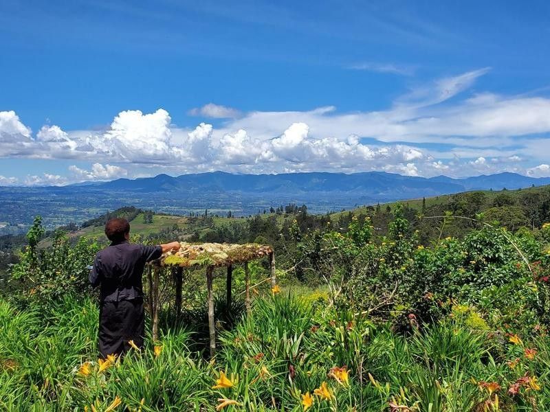 Luxury eco hotel Papua New Guinea organic bird feeders