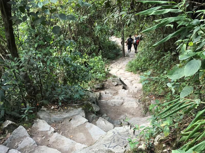 Machu Picchu Walk