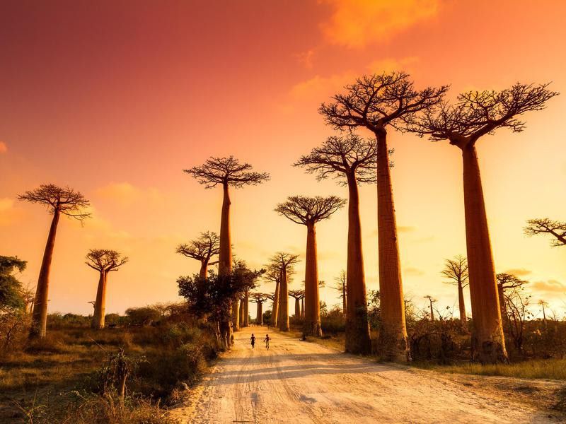Madagascar — one of the least visited countries in the world