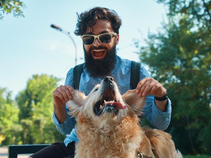 Man and dog having fun outdoors