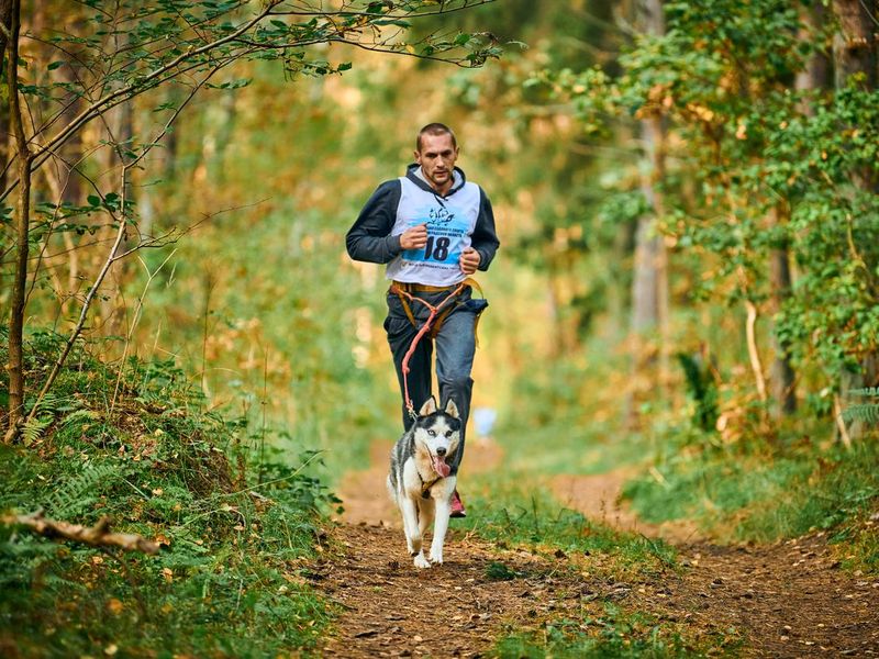 Man and dog running together