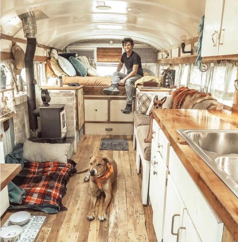 Man and his dog in van