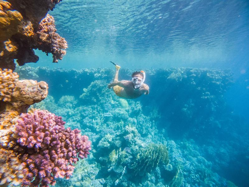Man dives in tropical sea
