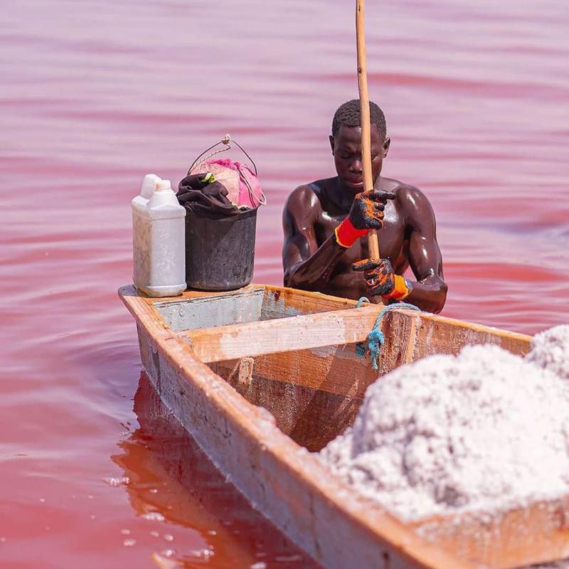 Man Harvesting Salt in Lake Retba