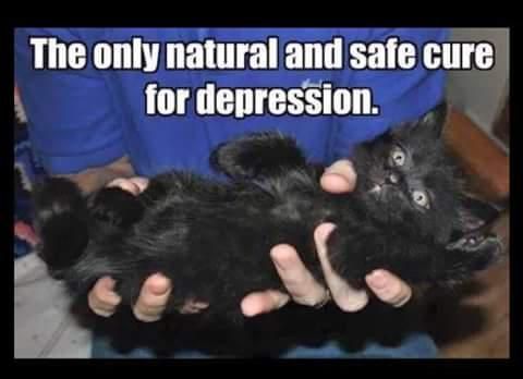 Man holding a cute black kitten upside down