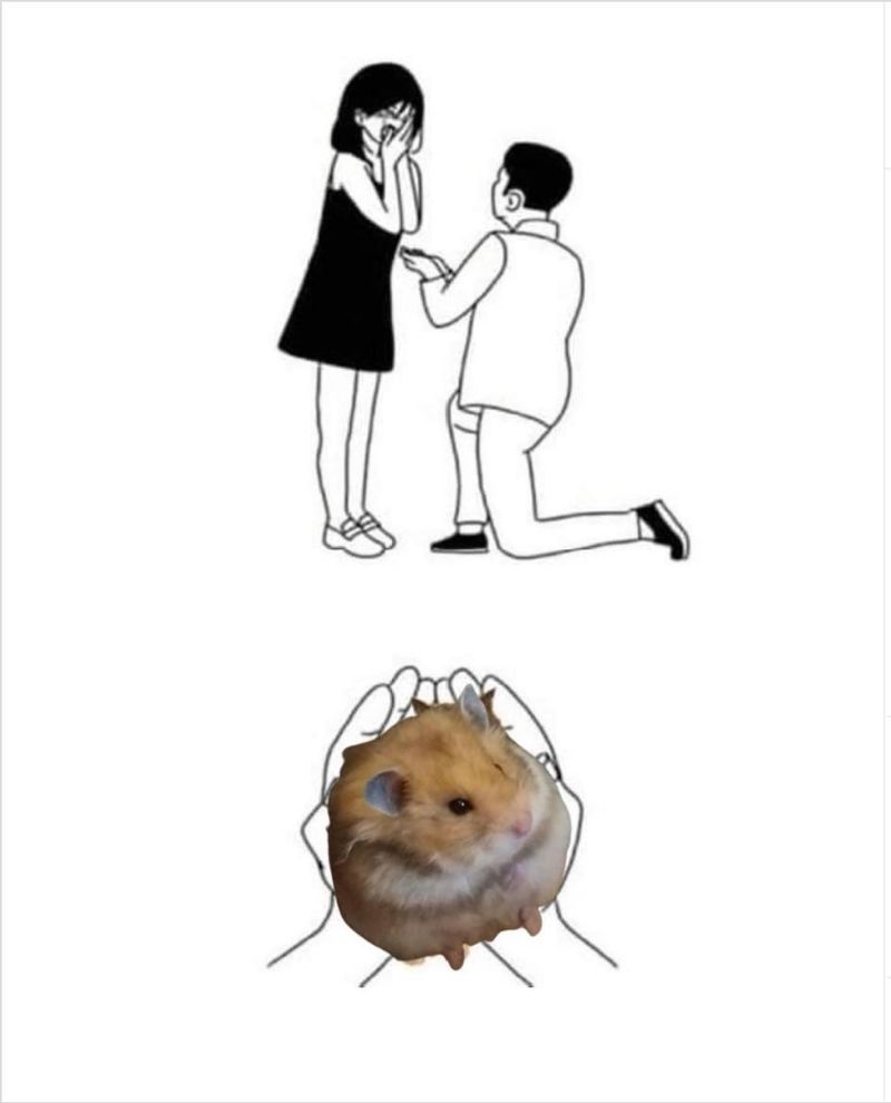 Man proposing with a hamster