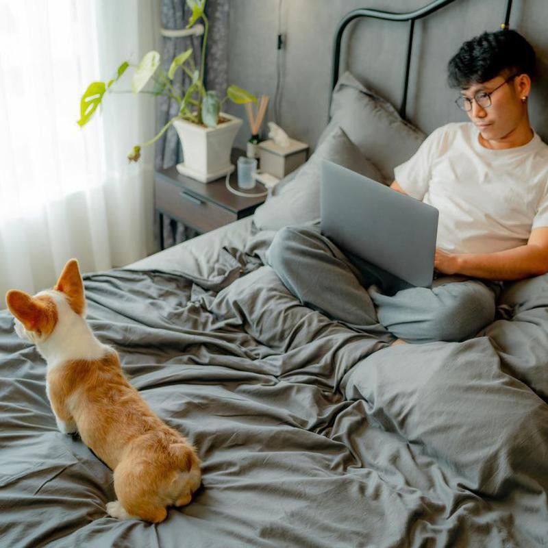 Man relaxing in bedroom with dog