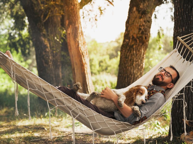 Man resting with dog in a hammock outdoors
