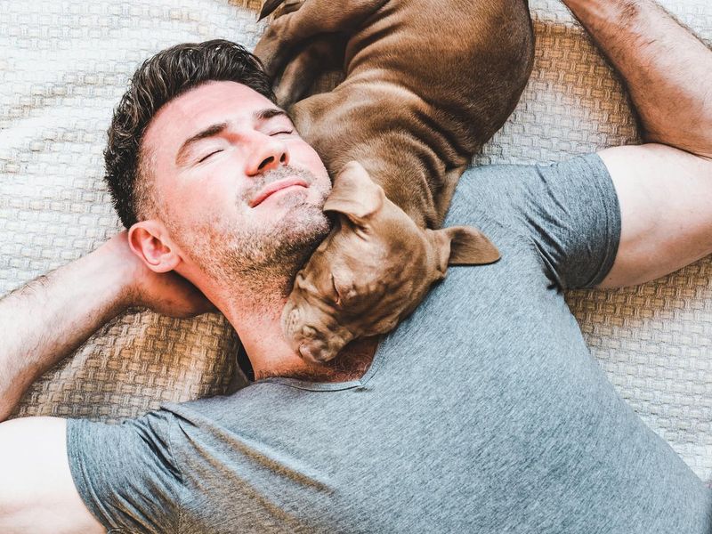 man sleeping with puppy