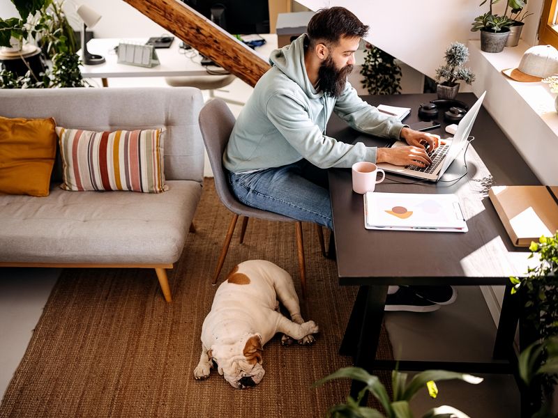 Man working from home while dog sleeps