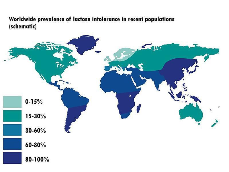 Map of World Lactose Intolerance