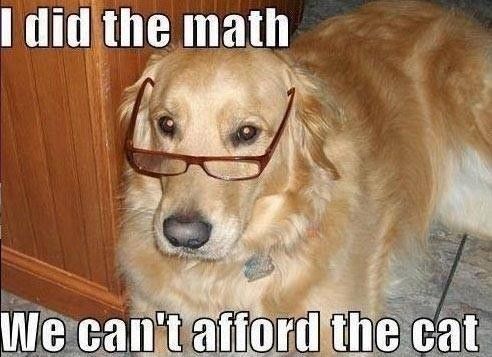Math dog