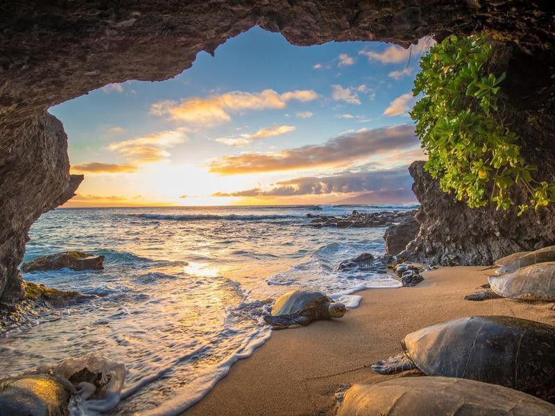 Maui cave