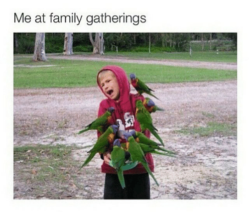 Me at family gatherings