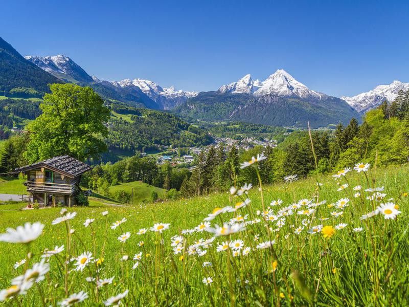 Meadow in Switzerland