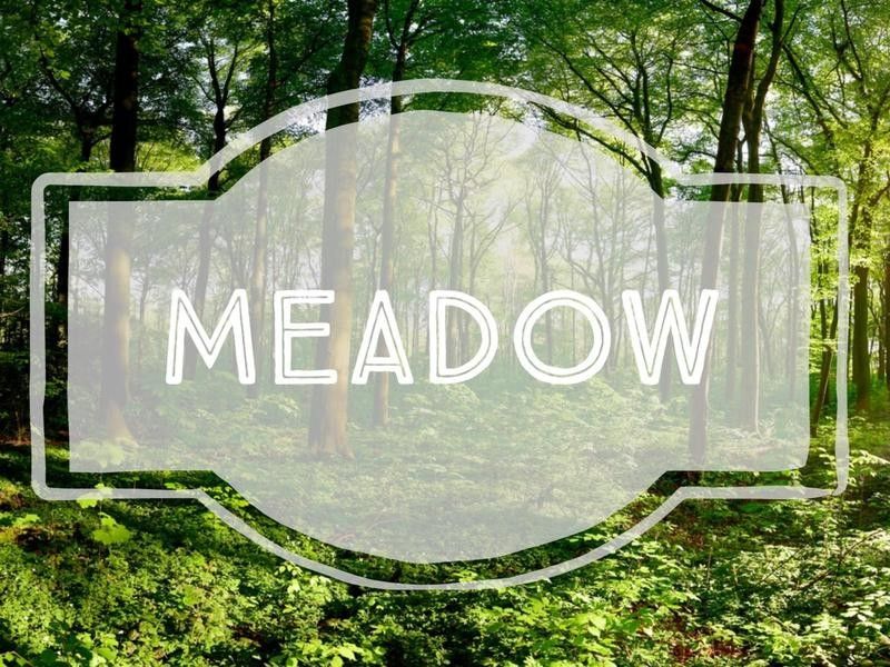 Meadow nature-inspired baby name