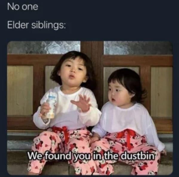 Mean older sibling meme