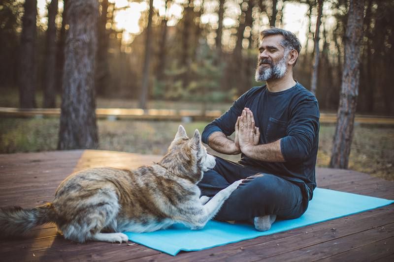 Meditation with a dog