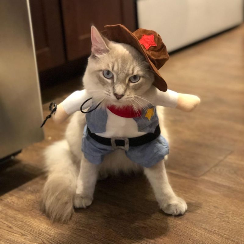 Meihejia Cat Cowboy Costume