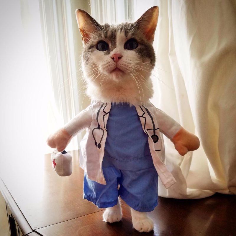 Mikayoo Pet Dog and Cat Doctor Halloween Costume