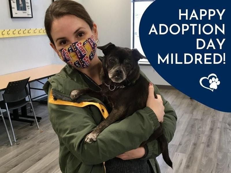 Mildred's Adoption Day